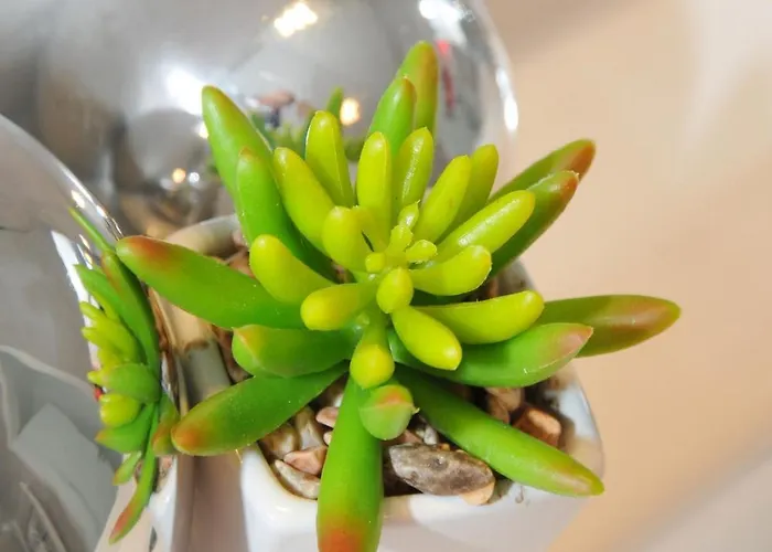 Apartmán Urbanliving-regensburg, Voll Ausgestattetes Fuer Bis Zu 3 Personen